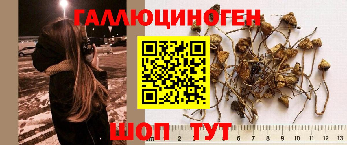 Псилоцибиновые грибы Cubensis  Вход с VPN  Ирбит  Галлюциногенные грибы MAGIC MUSHROOMS 
